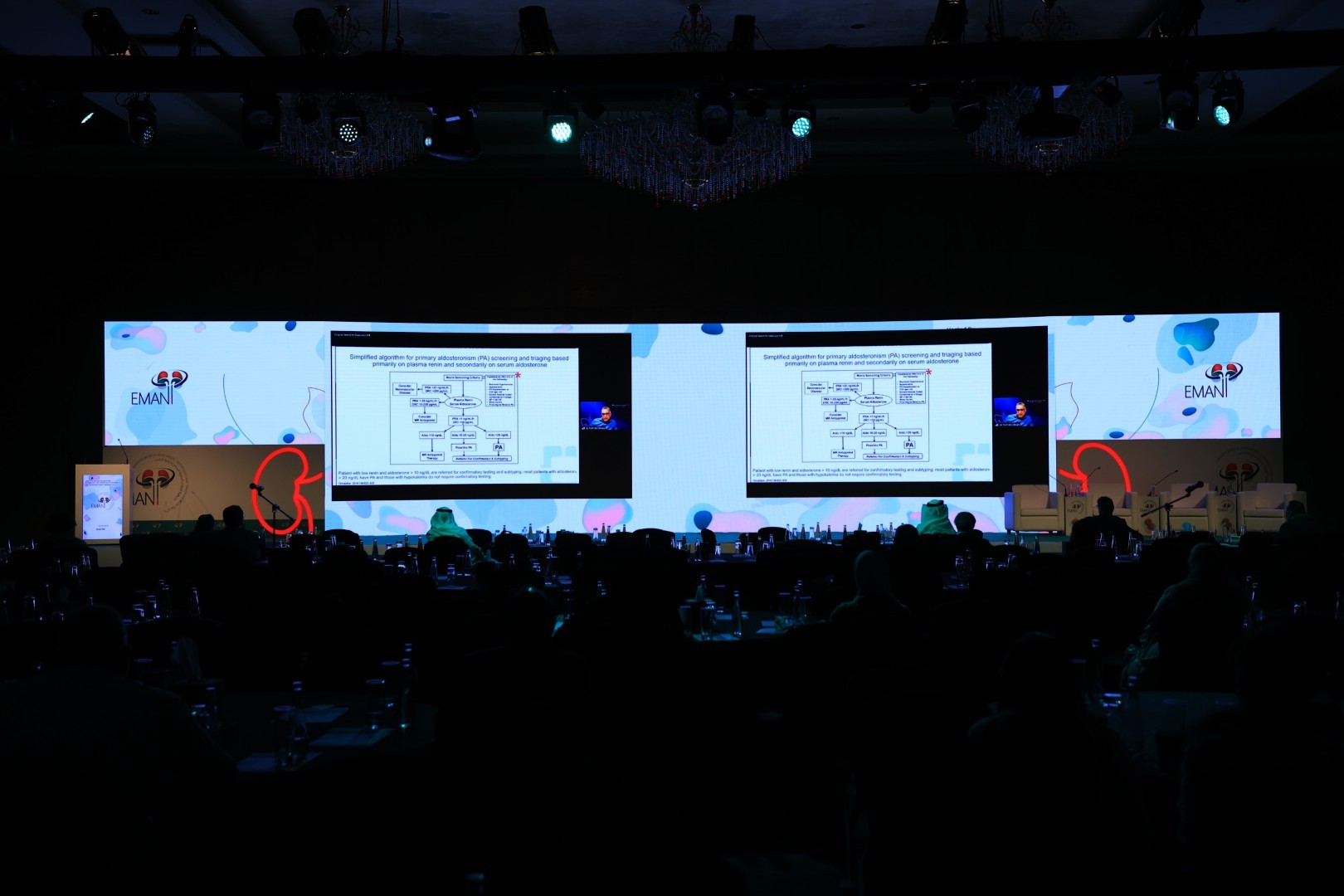 EMANT Renal Replacement Therapy Conference 2022, photograph 14 of 20