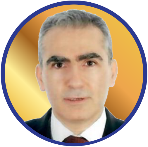 Portrait of Prof Samir Mallat, faculty member